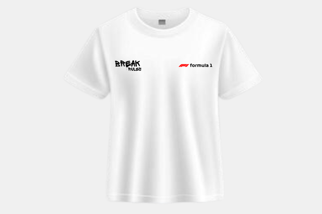 formula 1- RB20 Racing