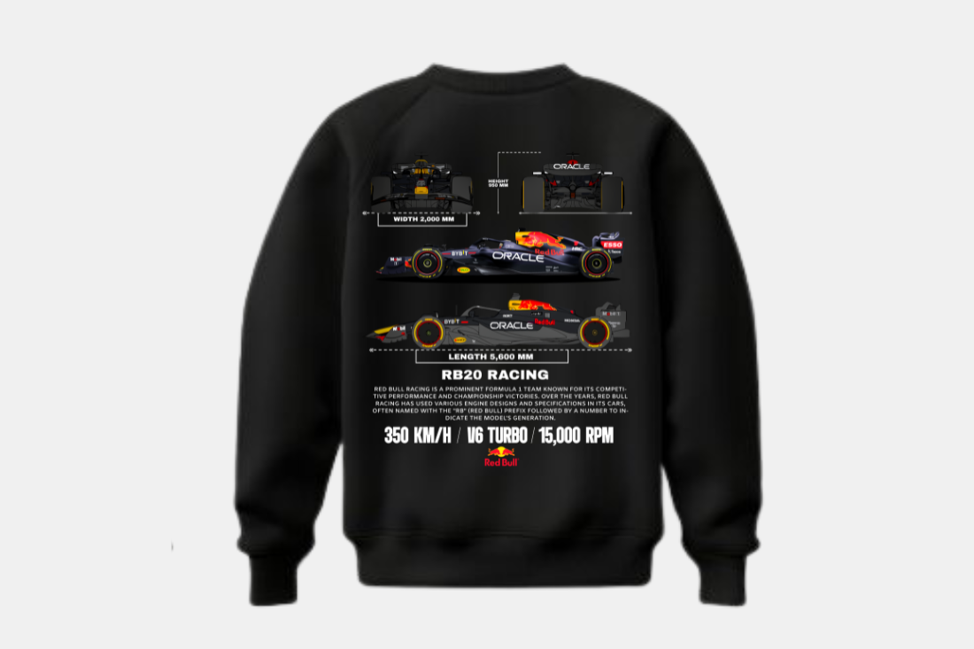 formula 1- RB20 Racing