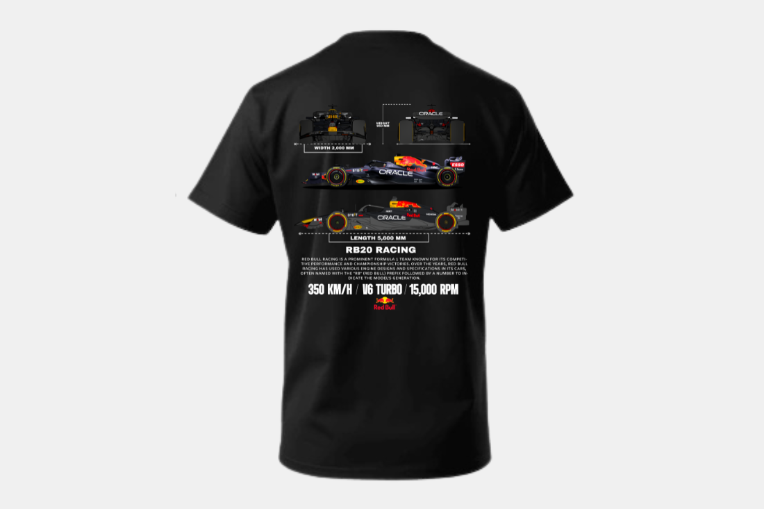 formula 1- RB20 Racing