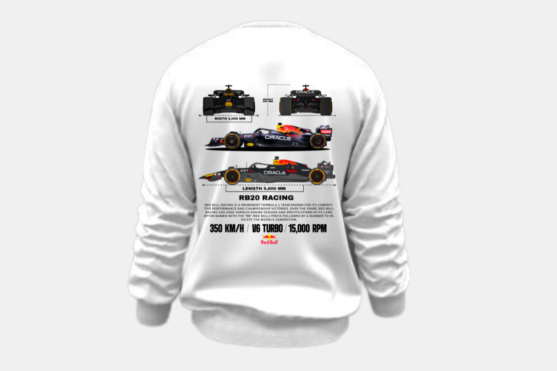 formula 1- RB20 Racing